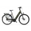 Batavus Finez E-go Power Exclusive Plus Groen Glans Dames 2025