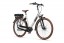 Batavus Altura E-go Licht Grijs Dames