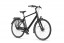 Batavus Senz Exclusive Vulkaanzwart Glans Heren