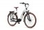 E-bike wit met bruine banden