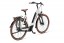 E-bike wit met bruine banden