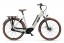 E-bike wit met bruine banden