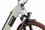 E-bike wit met bruine banden